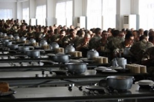 Дело о буйволином мясе – пробный камень для МО