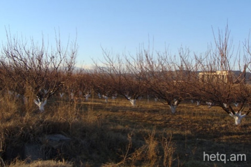 Աջակցություն հողօգտագործողներին