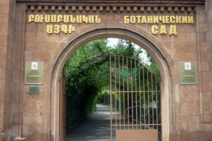 Երևանի բուսաբանական այգում մեկ օրում երկու հրդեհ է բռնկվել