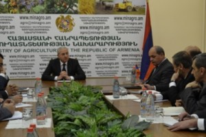 Խորհրդակցություն ՀՀ գյուղատնտեսության նախարար Սերգո Կարապետյանի մոտ
