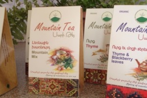  Mountain Tea's New Line-Up Now in Stores