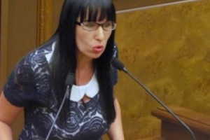 Наира Зограбян: «Так что мы теперь строим – обеспеченную Армению или полицейское 
государство?»