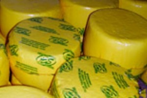 A City of Cheesemakers