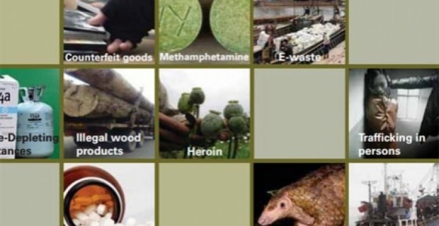 UN Report: $23 Billion In Enviro Crime In Asia