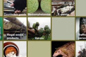 UN Report: $23 Billion In Enviro Crime In Asia