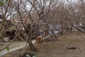 Ցրտահարությունից վնասվել են Հերհեր գյուղի ցանքատարածքները և այլ 
համայնքների այգիներ