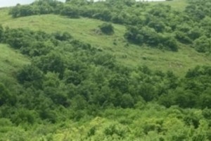 6 օրում ԲՊՏ-ի կիրառած պատժամիջոցներից պետբյուջե է մուտքագրվել մոտ 900 հազար դրամ