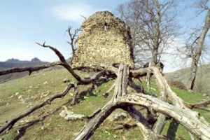 «Սա սուրբ ծառ է»․ Սամվել Կարապետյանը՝ արցախահայերի ծառապաշտության մասին (տեսաբլոգ)