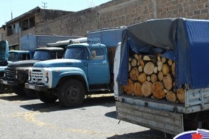 Հատվել են հաճարենի, կաղնի, բոխի