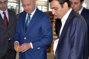 «Սպայկայում» ծիրանի մթերման գինը 400-500 դրամ է