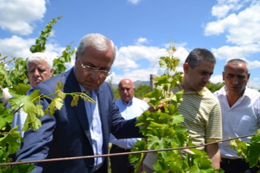 Գյուղախարարը հավաստիացրել է, որ բերքը կմթերվի ամբողջությամբ ու ճիշտ ժամանակին