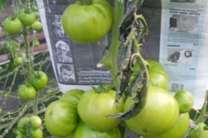 «ՀայՌուսգազարդ» ընկերությունը դատական գործը շահել է կեղծ փաստաթղթով