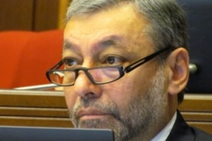 Opposition MP Arzoumanyan Chides Parliament Prez on Customs Union: 'The government can't have 
it both ways'