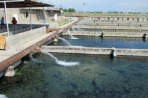 ԲՆ-ում քննարկվել է Արարատյան դաշտավայրի ջրային ռեսուրսների արդյունավետ օգտագործման խնդիրը