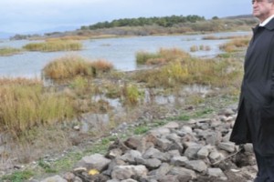 Один вопрос Верховному главнокомандующему