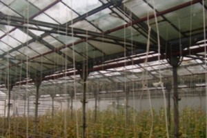 «ՀայՌուսգազարդը» չի փոխհատուցելու 45 մլն դրամի վնասը
