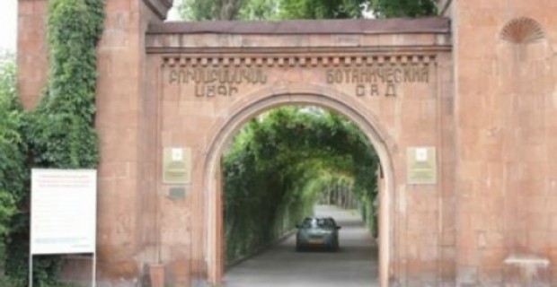Հրդեհ Բուսաբանական այգում