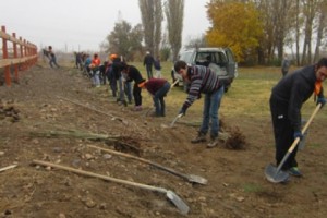 ATP Partners with Businesses, Local Residents, to Create Green Spaces in Armenia and Artsakh