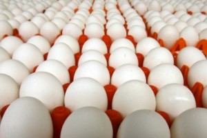 Omelette Anyone? Armenia Imports 7 Million Eggs in November