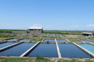 Министерство экологии РА уклонилось от ответа на вопрос, сколько колодцев 
ликвидировала каждая компания