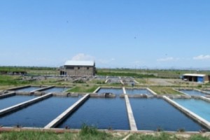 Արարատի և Արամավիրի ապօրինի խորքային հորերի լուծարման աշխատանքները 
շարունակվում են