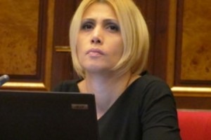 Մարդու իրավունքների հարցերով ԱԺ-ին մեկ տարում դիմել են 215 անգամ