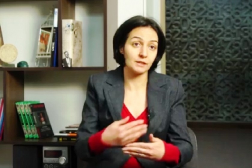 Ժամանակակից քաղաքացիական շարժումներ. Էվելինա Գյուլխանդանյան