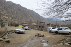  "How Many Trees You Have is More Important Than Being Elected Village Head": Local 
Elections in One Armenian Village