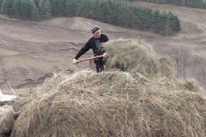 Counting Dollars and Sense: Animal Husbandry in Armenia is Tough Business, Say Villagers