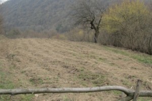 Մրցույթի մասին հրապարակային ծանուցում