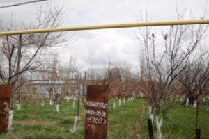 «Մրցակիցը» երկրորդ քայլից հանձնվում է. առանձնատների գյուղը