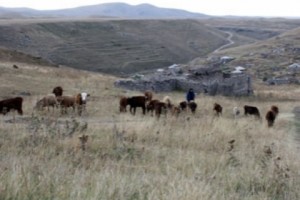 Վերին Շորժայում ընտրություններն «արտակարգ» են անցնում