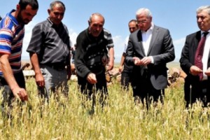 Գյուղացիները խնդրել են երկարացնել գյուղատնտեսական վարկերի մարման 
ժամկետները
