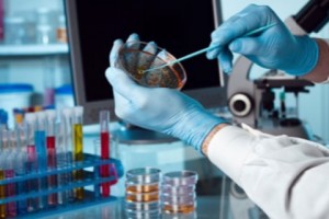 Hetq Article on “Confusing” Blood Lab Results Prompts Ministry Investigation