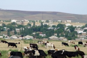 Kazakhstan: Agriculture Official Sentenced To 10 Years For Taking Bribes
