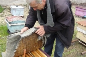 Goris Apiarist: ‘Beekeeping Isn’t Difficult, but It’s Still Hard Work’