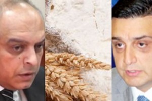 Հարստացվող ալյուր. օրենքը չընդունված` սարքավորումները ներկրել են
