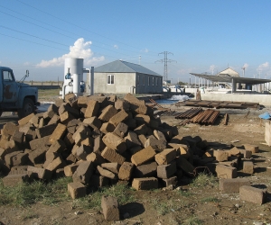 Environmental Disaster or Collective Fish Farming
