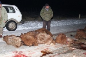 Քաղաքացին ի վիճակի չէ պայքարելու Արմավիրի քննչական բաժնի և Արմավիրի  մարզի 
դատախազության անօրինականությունների դեմ