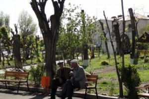 Содержание свинца в почве на территории одного из детсадов Гюмри в 22 раза превышает 
допустимую норму