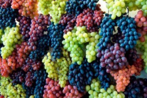 ՀՀ գյուղատնտեսության նախարարությունը զգուշացնում է