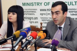Մթերվել է 8593 տոննա պտուղ-բանջարեղեն