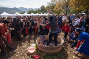 Արցախի գինու երկրորդ փառատոնը կկայանա 2015 թվականի հոկտեմբերի 17-ին