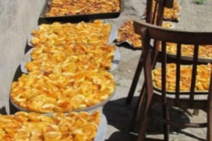 C 26 октября по 1 ноября открытые сельхозрынки в Ереване будут действовать каждый день