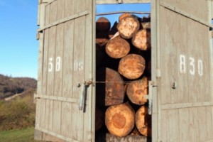 В Лори уничтожаются приграничные леса