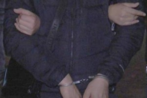 С площади Свободы подвергнут приводу участник сидячей демонстрации Арам Тарвердян