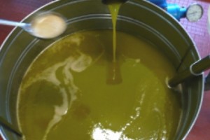 Made in Italy: Investigators Spotlight 'Agromafia' in Major Counterfeit Food Seizures
