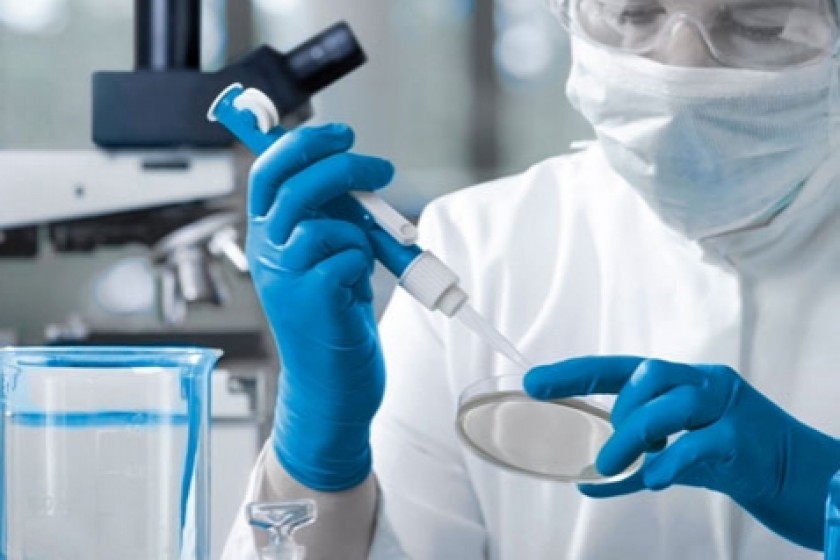 No Influenza Epidemic, Says Armenian Health Minister: