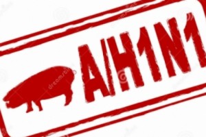 Խոզի միսը չի կարող լինել H1N1-ով վարակման պատճառ