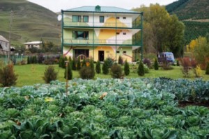 A Record Breaking Year for Environmental Education in Armenia